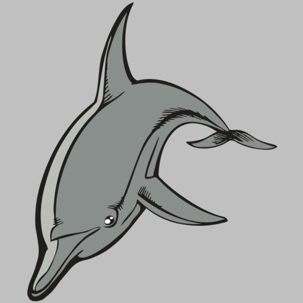 BAW DOLPHIN 03 RC Thumbnail