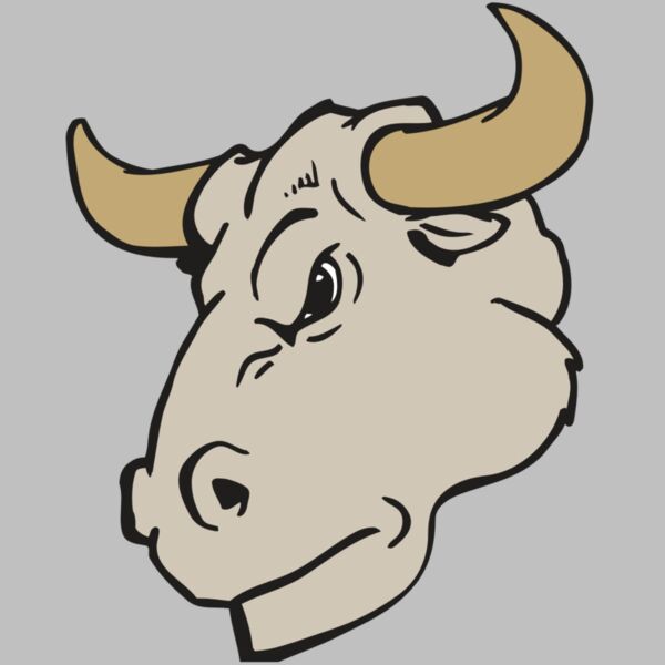 AR BULL 25 RC Thumbnail