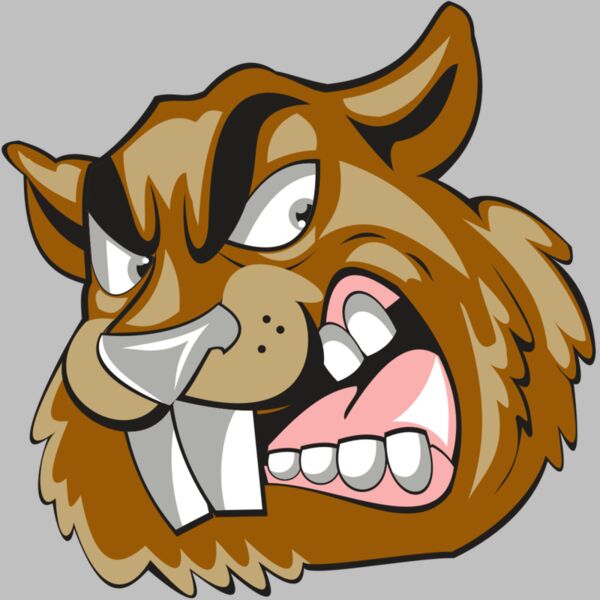 BEAVER HD0504 RQC Thumbnail