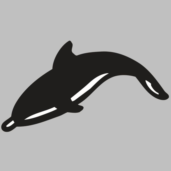 AR DOLPIN 16 RC Thumbnail