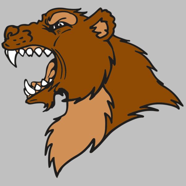 AR BEAR 22 RC Thumbnail