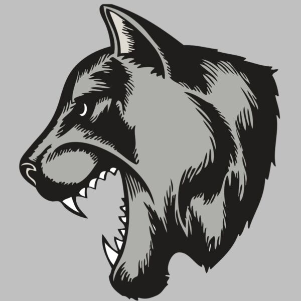 BAW COUG PANTH 06 RC Thumbnail