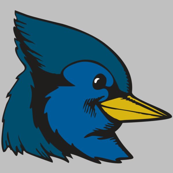 BAW BLUEJAY 07 RC Thumbnail