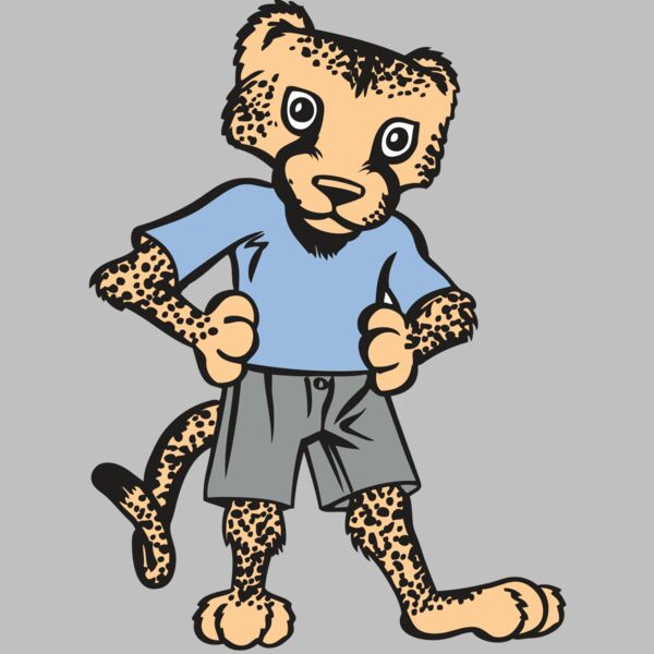 BAW CHEETAH 03 RC Thumbnail