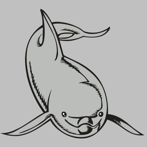 BAW DOLPHIN 02 RC Thumbnail