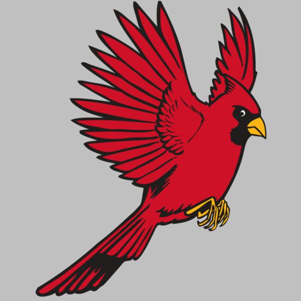 BAW CARDINAL 19 RC Thumbnail