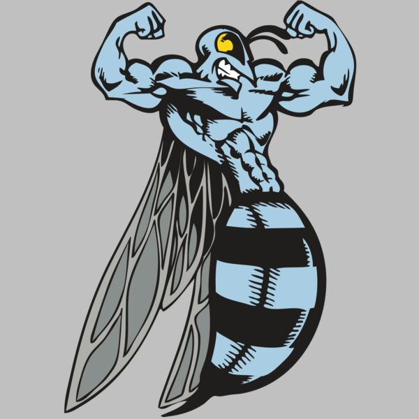 BAW BEE 08 RC Thumbnail