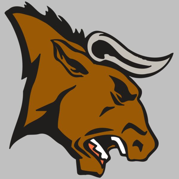 AR BULL 38 RC Thumbnail