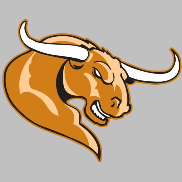 AR BULL 14 RC Thumbnail