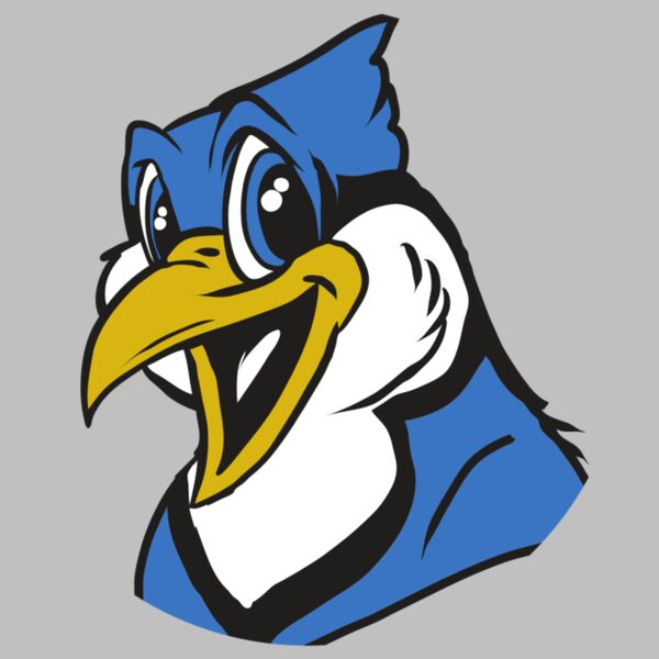 AR31 BLUEJAY 01 RQC Thumbnail