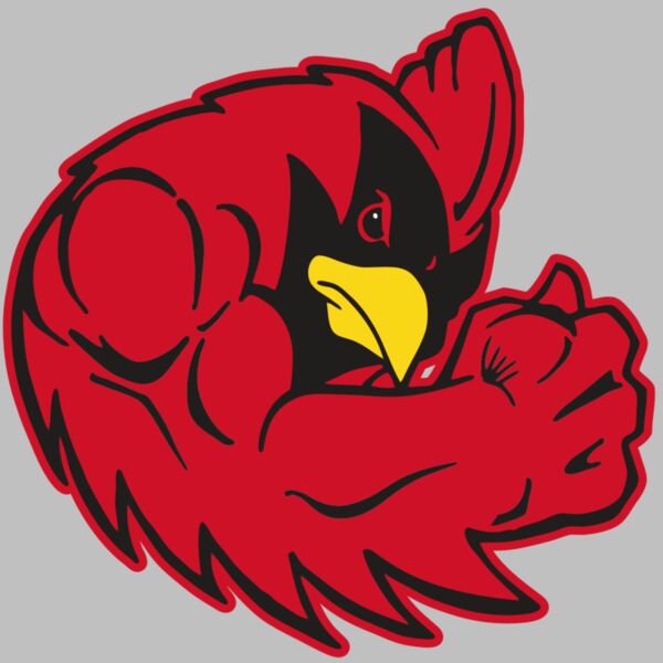 AR CARDINAL 29 RC Thumbnail