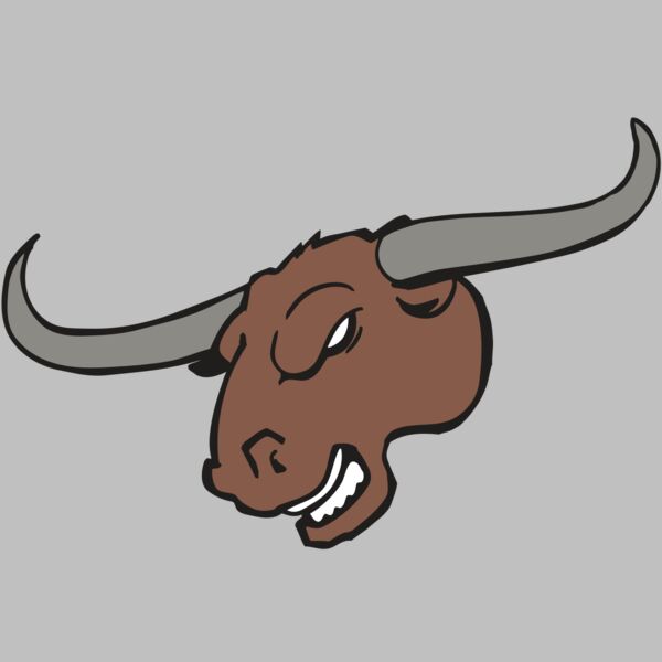 AR BULL 10 RC Thumbnail