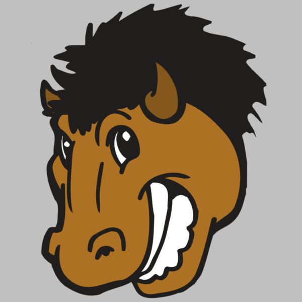 AR BUFFALO 17 RC Thumbnail