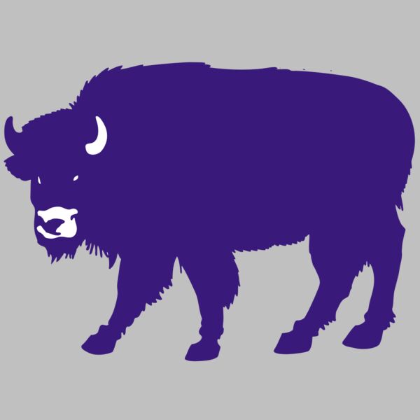 AR BUFF 23 RC Thumbnail