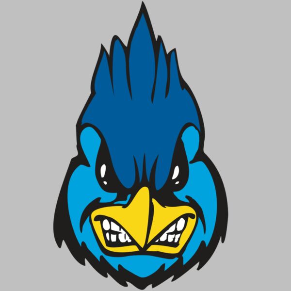 BAW BLUEJAY 02 RC Thumbnail