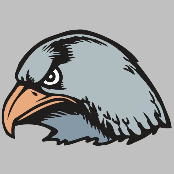 BAW HWK FLCN 03 RC Thumbnail