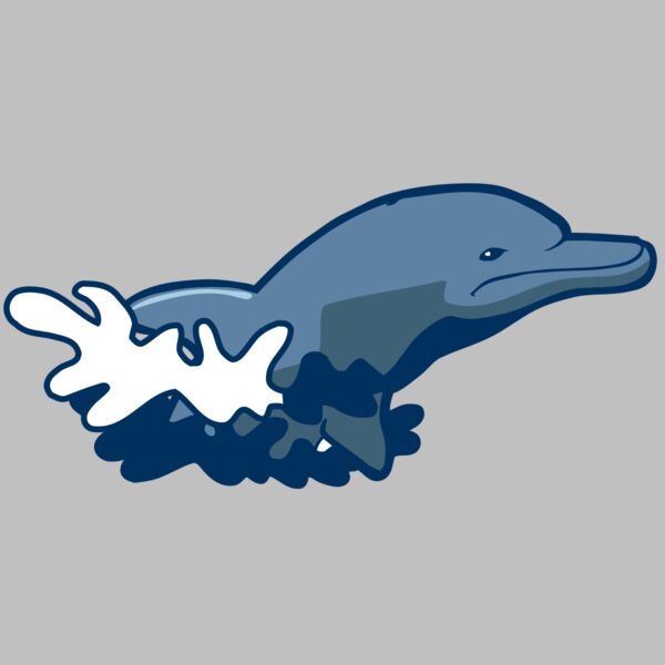 AR DOLPIN 10 RC Thumbnail