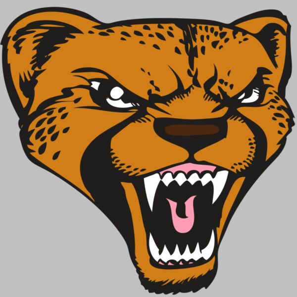 BAW CHEETAH 12 RC Thumbnail