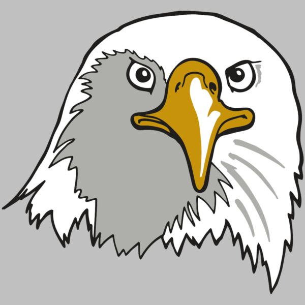 AR EAGLE 39 RC Thumbnail