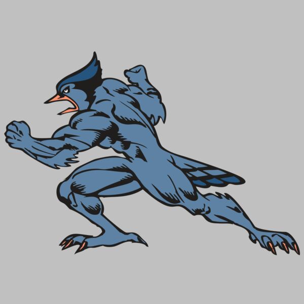 BAW BLUEJAY 15 RC Thumbnail