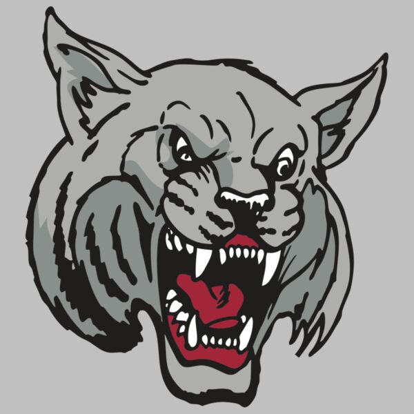 AR WILDCAT 42 RC Thumbnail