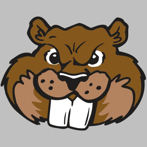 AR BEAVER 10 RC Thumbnail