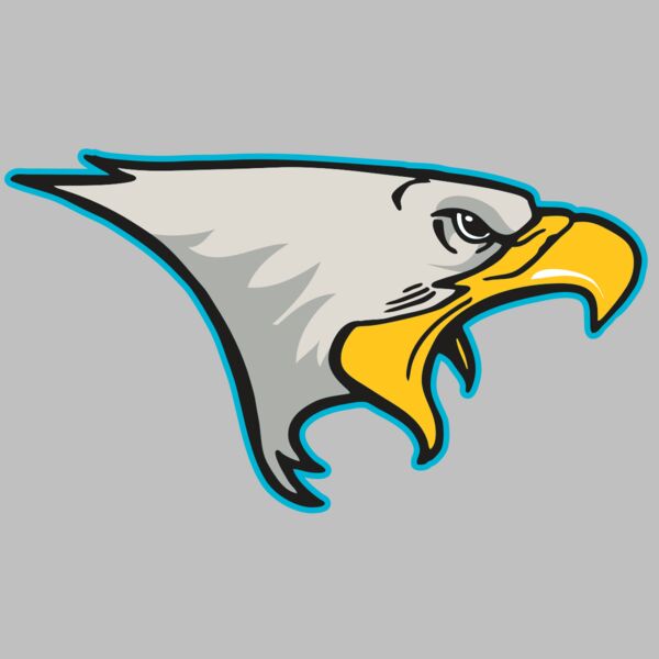 AR14 EAGLE FBALL 01 RQC Thumbnail