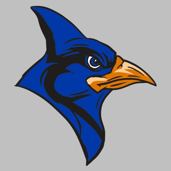 AR13 BLUEJAY 04 RQC Thumbnail