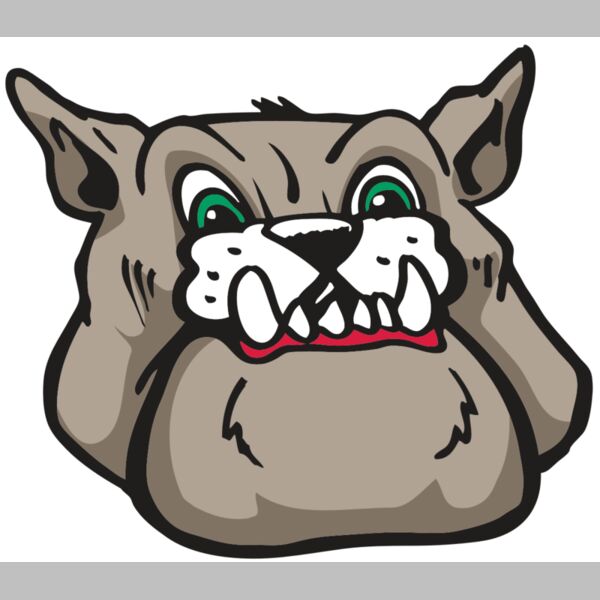 AR BDOG 27 RC Thumbnail