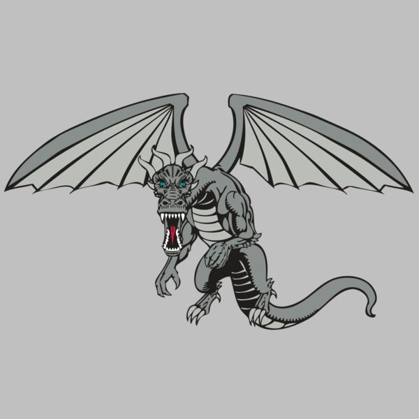 BAW DRAGON 04 RC Thumbnail