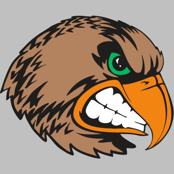 BAW HWK FLCN 09 RC Thumbnail