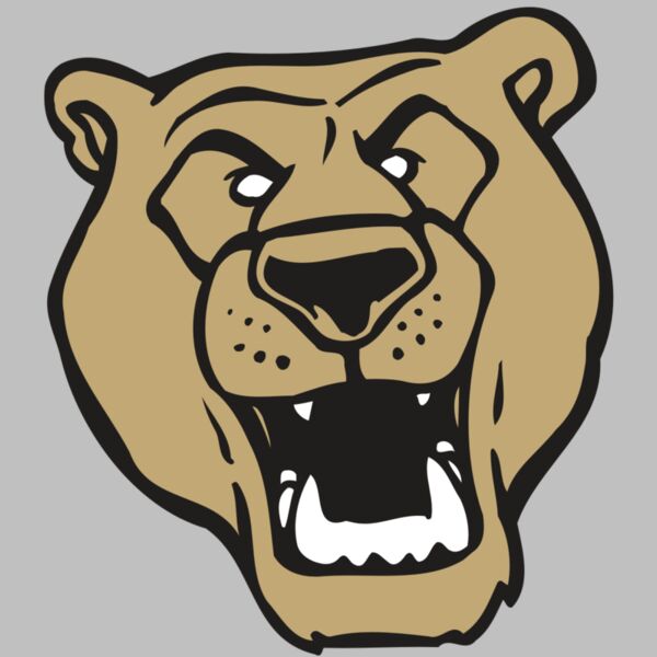 AR BEAR 13 RC Thumbnail