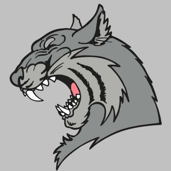 AR WILDCAT 41 RC Thumbnail