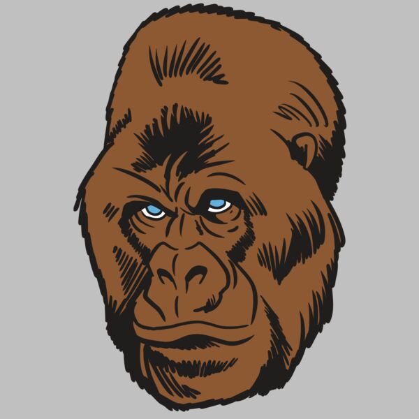 AR19 GORILLA 02 RQC Thumbnail