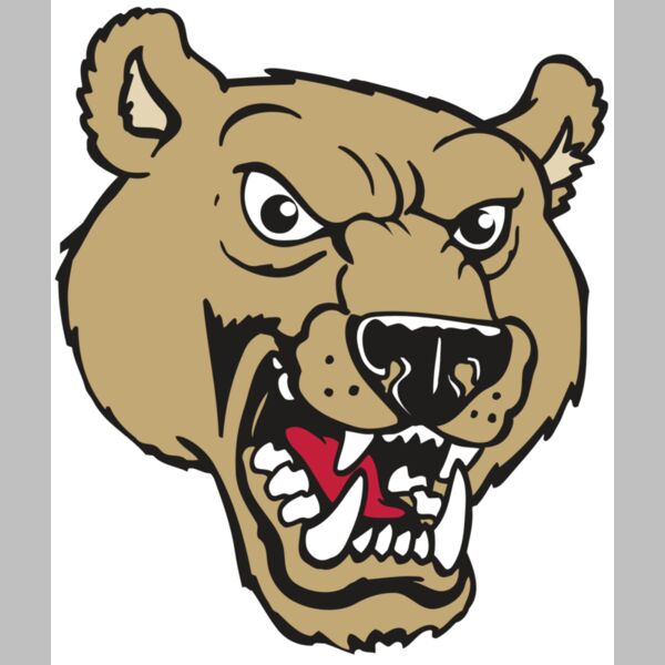 AR BEAR 09 RC Thumbnail