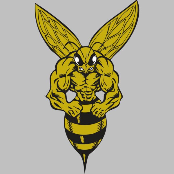 BAW BEE 06 RC Thumbnail