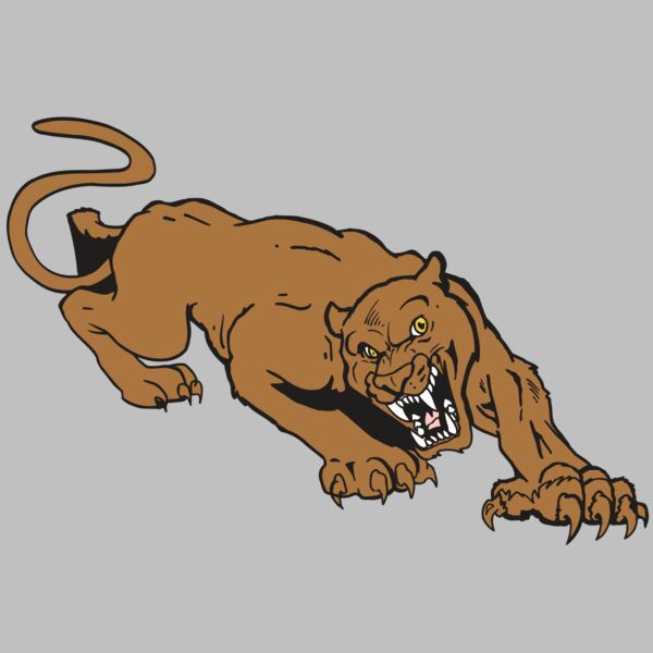 AR5 COUGAR 41 RQC Thumbnail