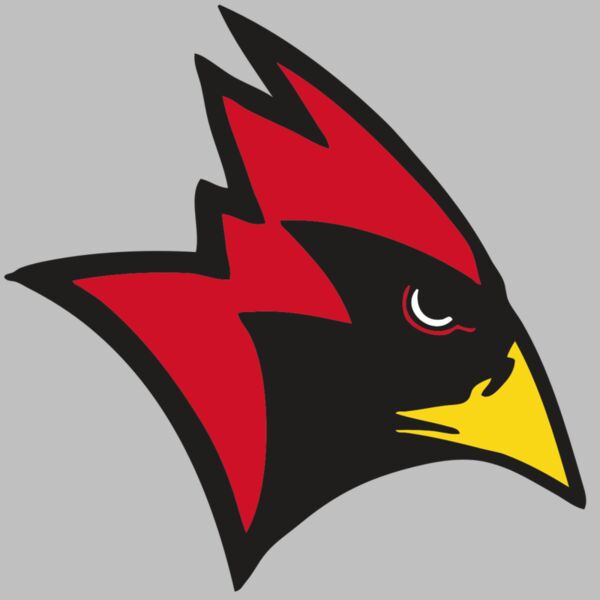 AR CARDINAL 23 RC Thumbnail