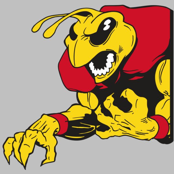 AR5 BEE 28 RQC Thumbnail