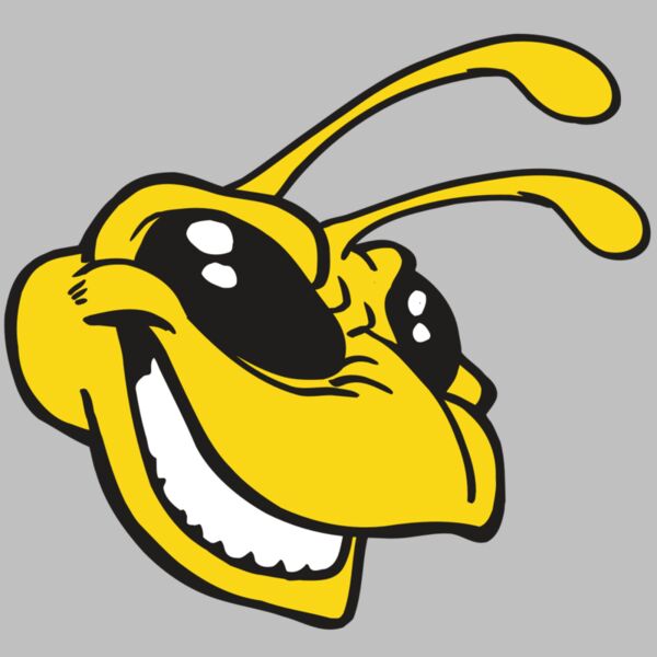 AR5 BEE 24 RQC Thumbnail