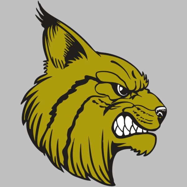 BAW BOBCAT 16 RC Thumbnail