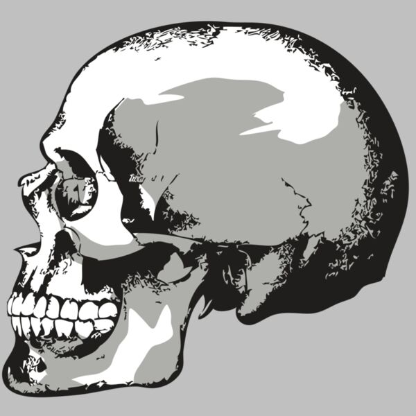 AR24 SKULL 02 RQC Thumbnail