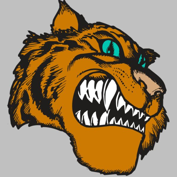 BAW TIGER 11 RC Thumbnail