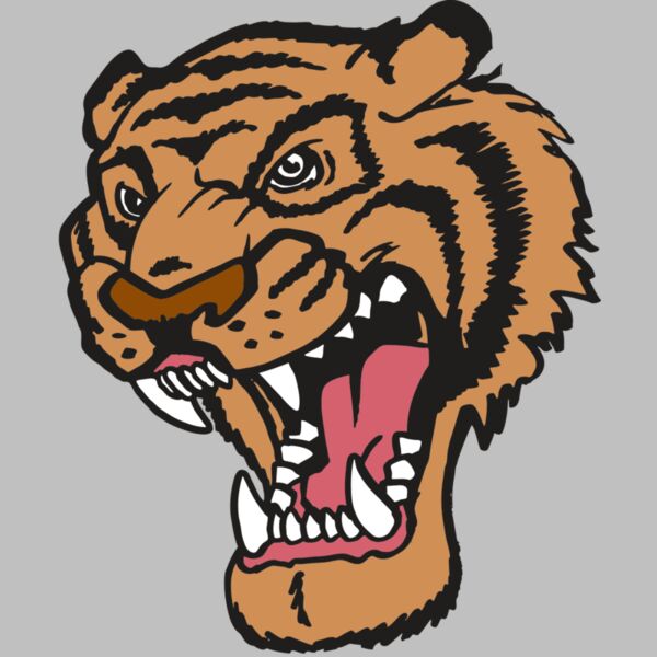 AR TIGER 12 RC Thumbnail