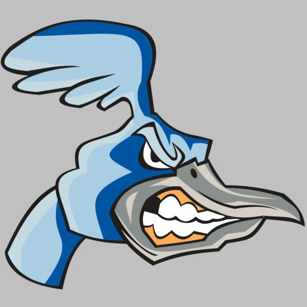 ROADRUNNER HD0503 RQC Thumbnail