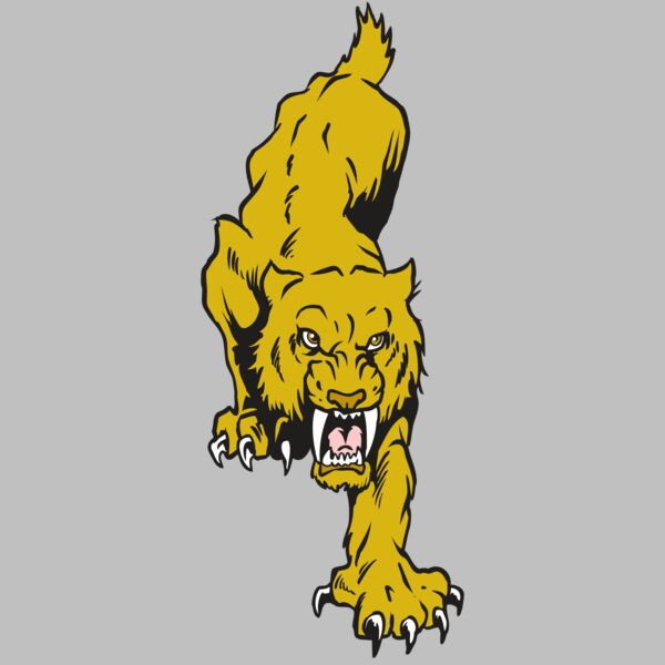 AR30 SABER 08 RQC Thumbnail