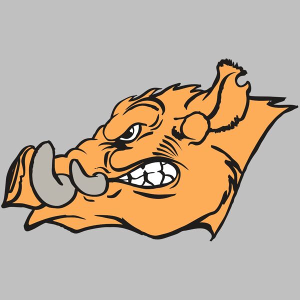 AR RAZORBACK 27 RC Thumbnail