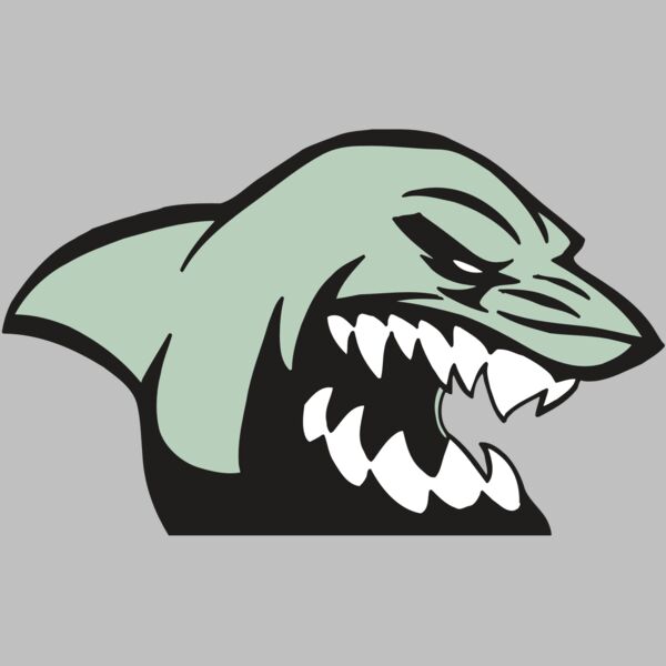 AR5 Shark 09 RQC Thumbnail