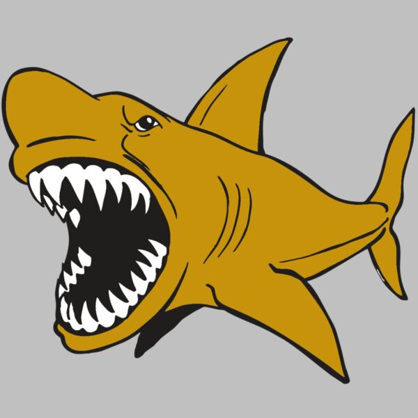 AR  SHARK 21 RC Thumbnail