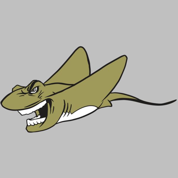 AR19 STINGRAY 07 RQC Thumbnail